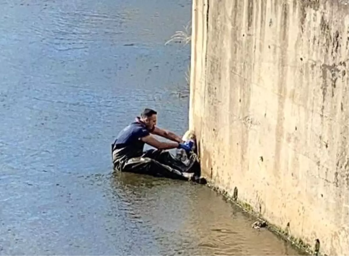 Batman\'da su kanalına düşen kuzu itfaiye ekipleri tarafından kurtarıldı