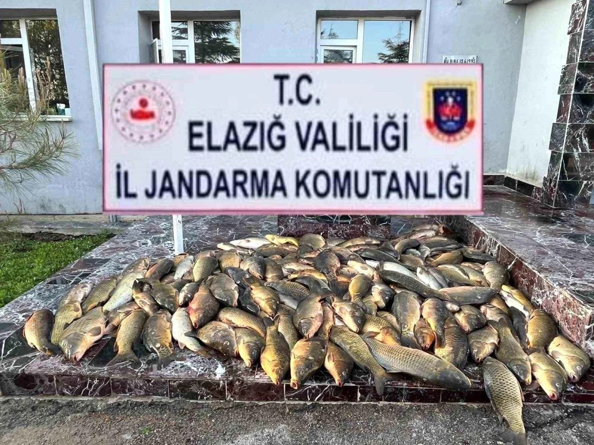 Elazığ\'da Kaçak Balık Avlayanlara Yüksek Para Cezası