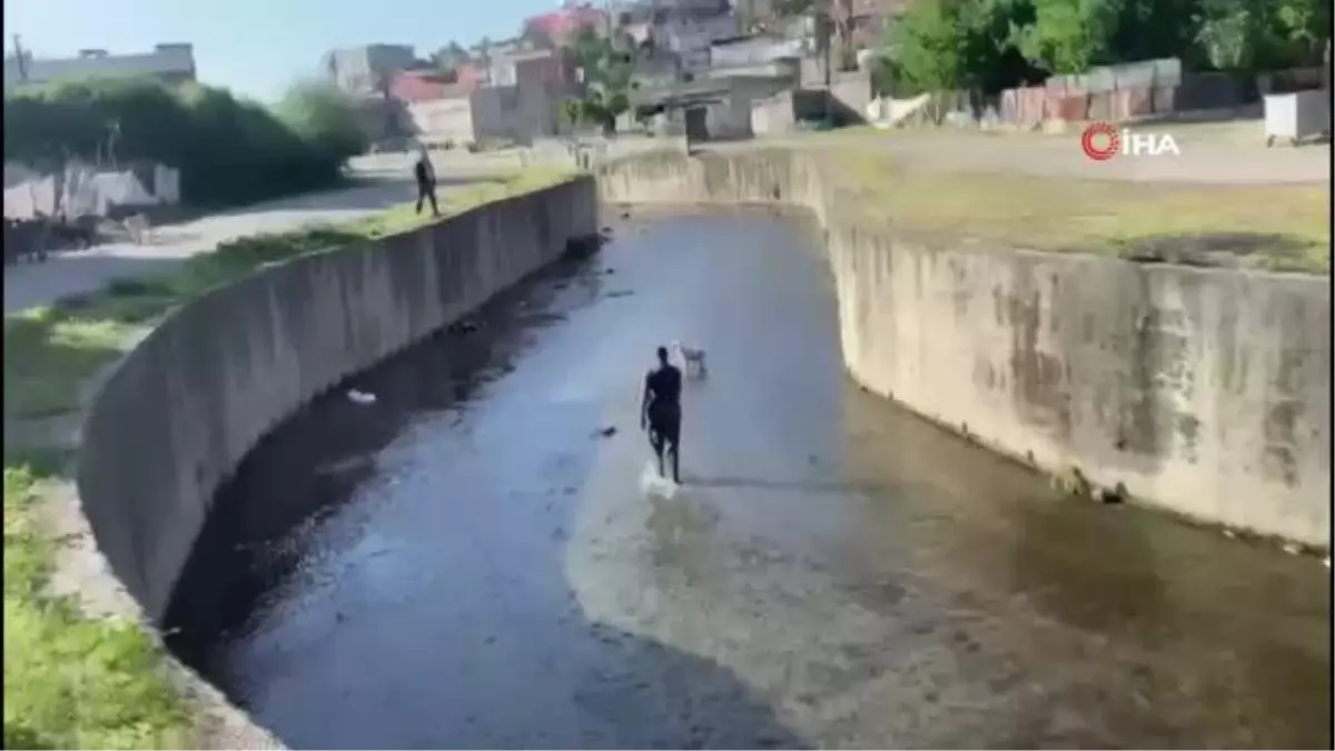 Kanala düşen kuzu itfaiye ekiplerince kurtarıldı