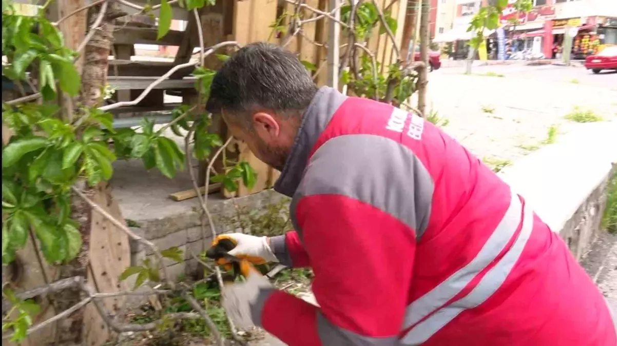 Kocasinan Belediyesi, Yaralı Ebabil Kuşuna Küçük Dostlar Ambulansı İle Müdahale Etti