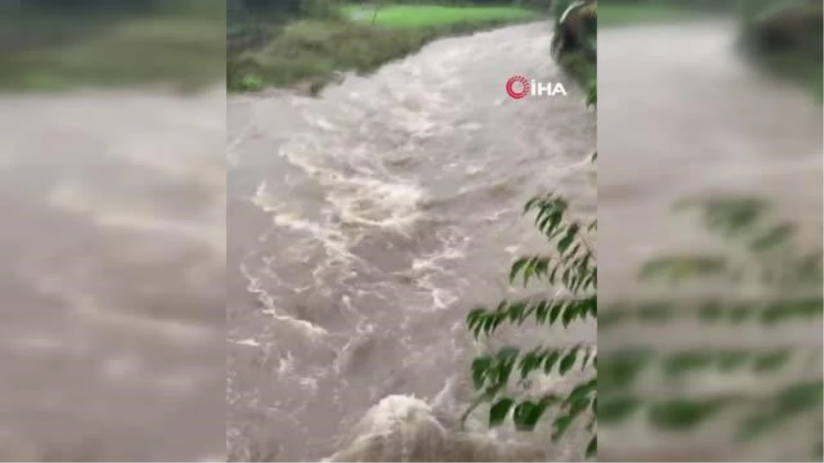 Yeni Zelandada sel felaketi nedeniyle acil durum ilan edildi