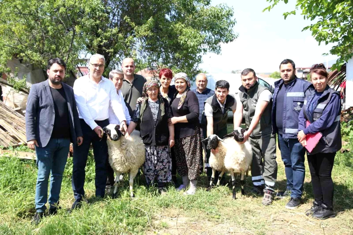 Aydın Büyükşehir Belediye Başkanı, koyunları telef olan üreticiye yardım etti