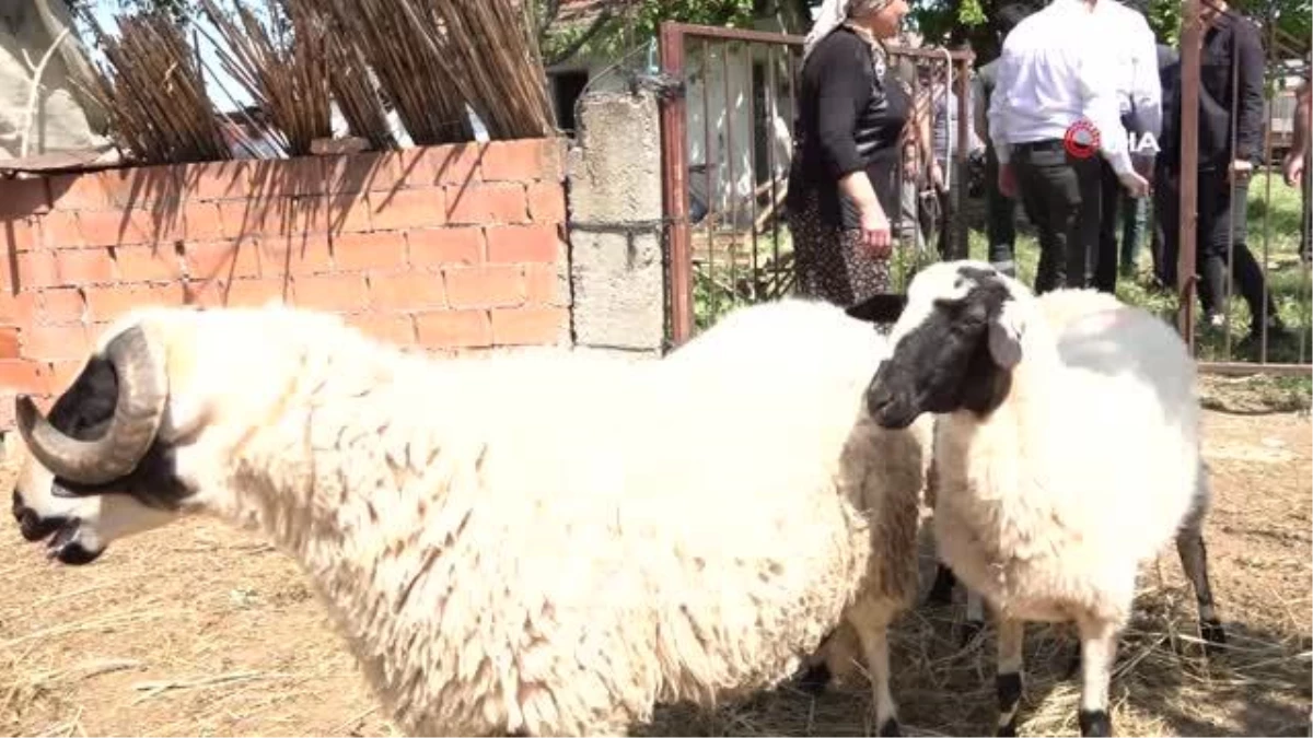 Başkan Çerçioğlundan koyunları telef olan üretici kadına destek
