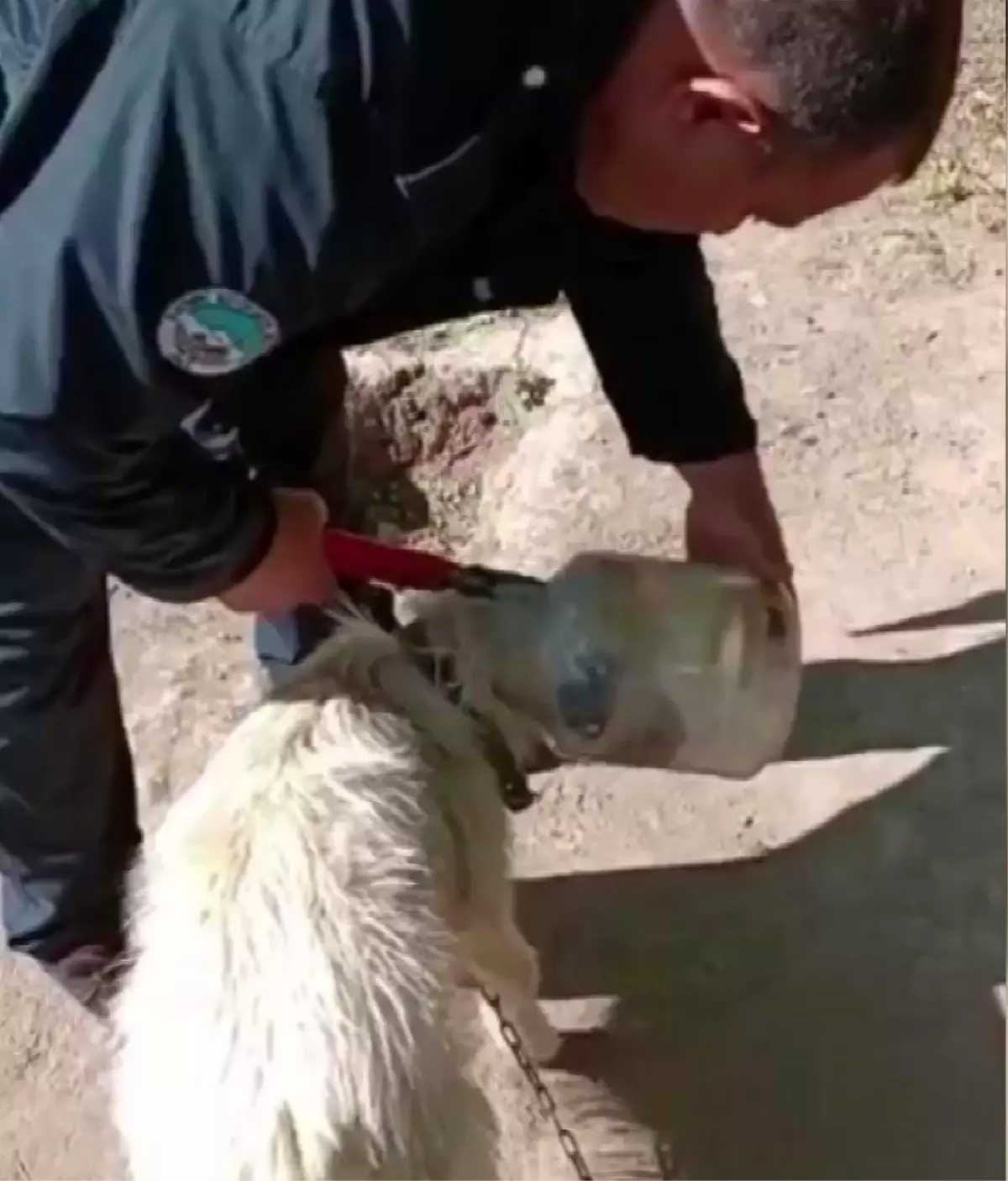 Kayseride kafası bidona sıkışan köpek itfaiye ekipleri tarafından kurtarıldı