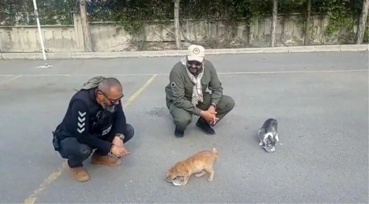 Kayseri polisi depremde etkilenen sokak hayvanlarına yardım eli uzattı