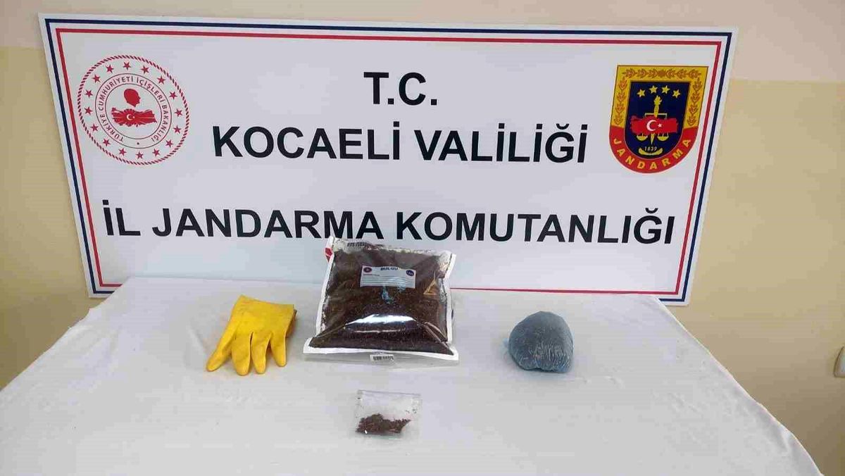 İzmit\'te 650 gram bonzai ele geçirildi