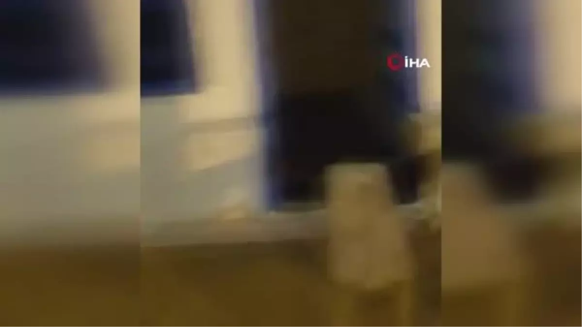 Tunusta sinagog yakınında silahlı saldırı: 4 ölü