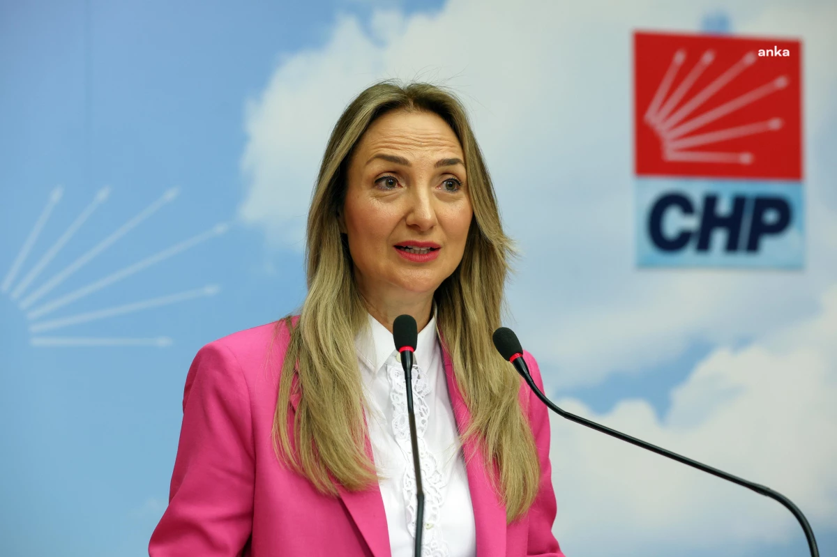 CHP Kadın Kolları Genel Başkanı Aylin Nazlıaka: İstanbul Sözleşmesi\'ni yeniden yürürlüğe koyacağız