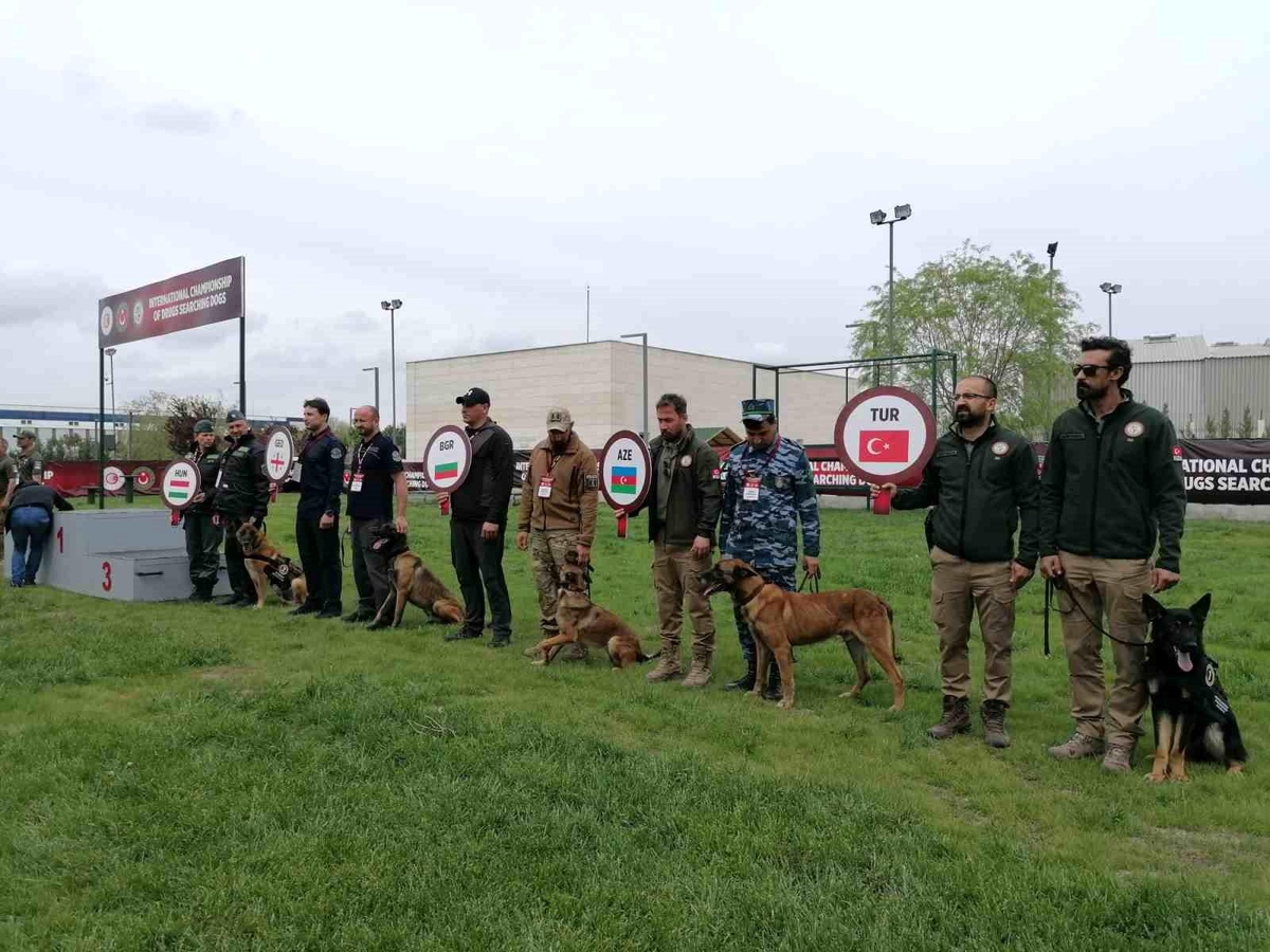 Narkotik Dedektör Köpekler Yarışması\'nda Türkiye\'yi temsil eden \'Nobel\' birinci oldu