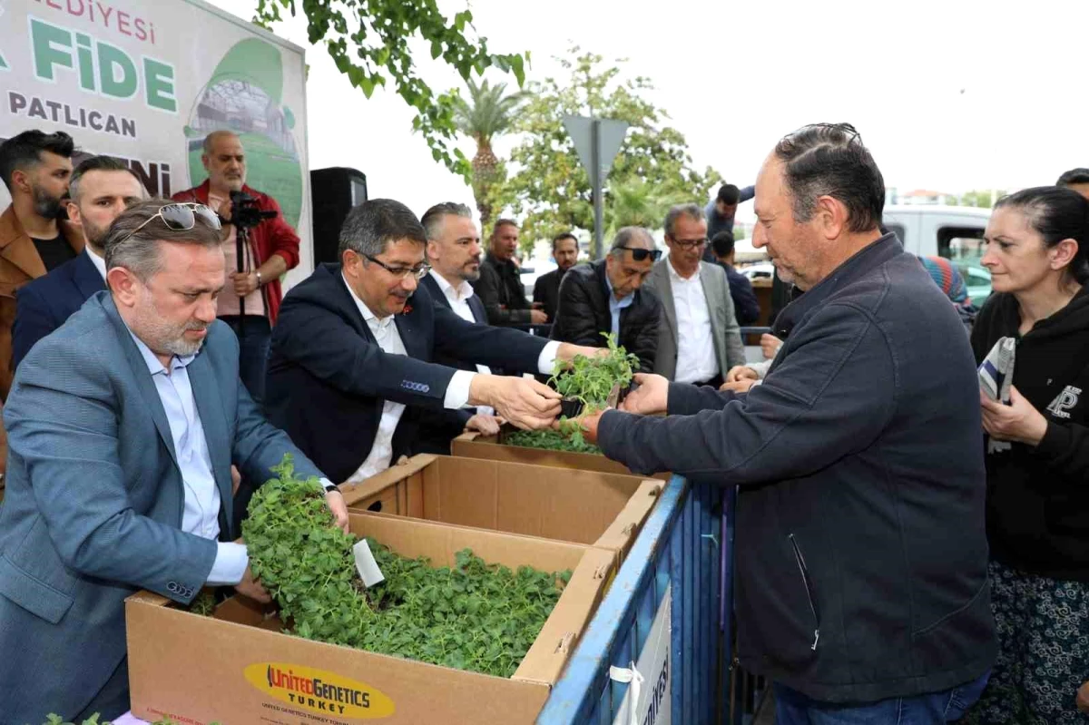 Şehzadeler Belediyesi 23 Bin Domates ve Patlıcan Fidesi Dağıttı