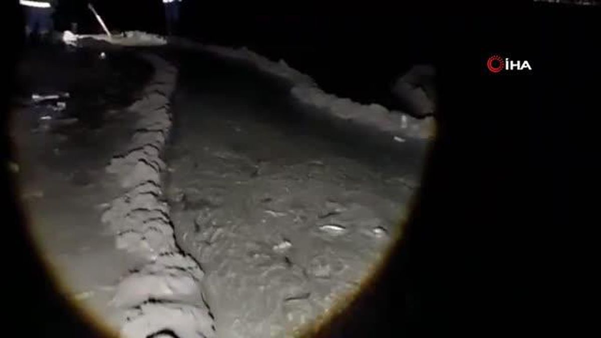 Vanda 2 ton inci kefali kurtarıldı