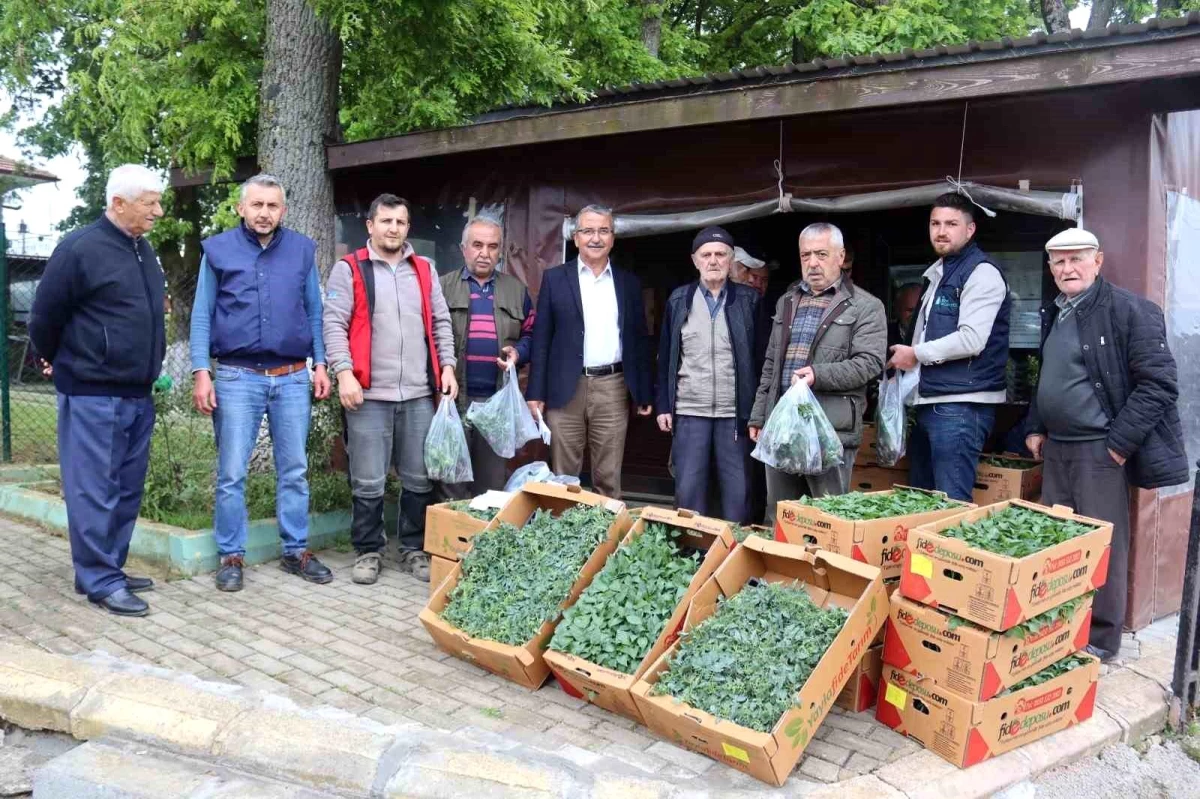 İzmit Belediyesi Köylerde Sebze Üretmeyen Kalmasın Sloganıyla Fide Dağıtımı Yapıyor