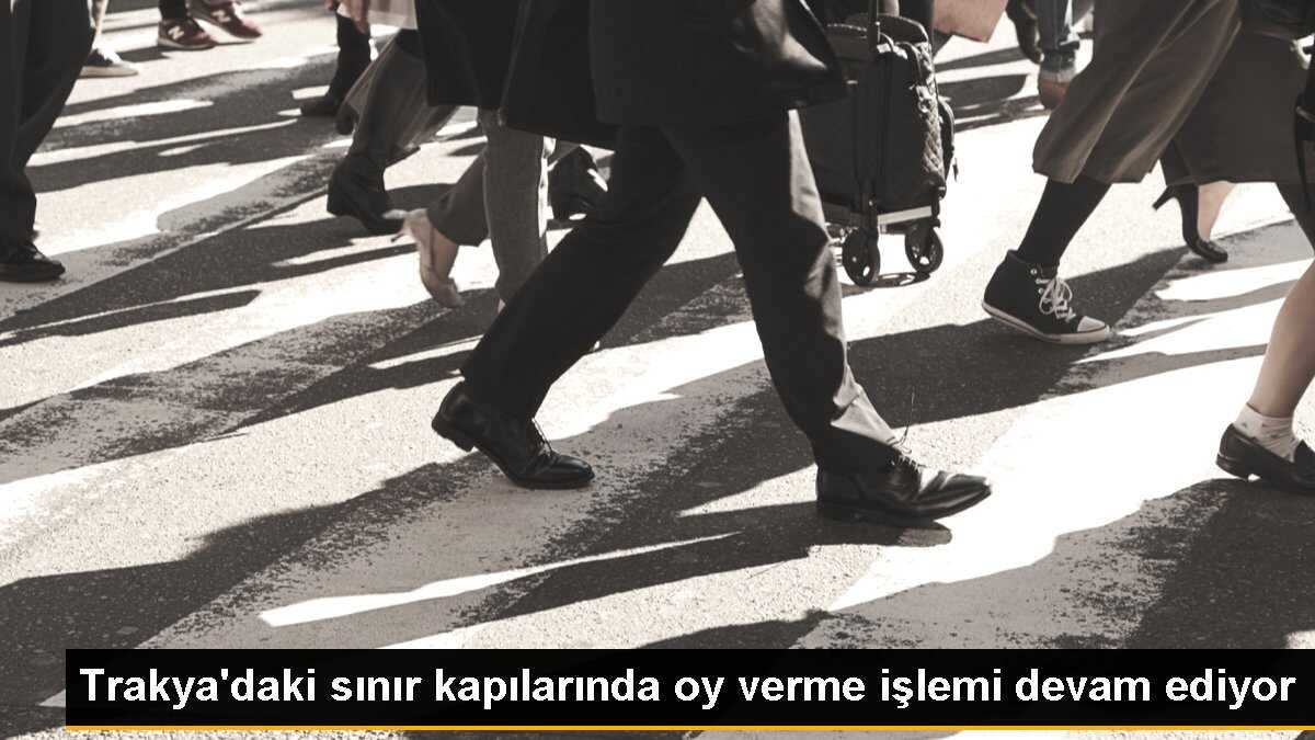 Yurt dışı seçmenleri Trakya sınır kapılarında oy kullanıyor