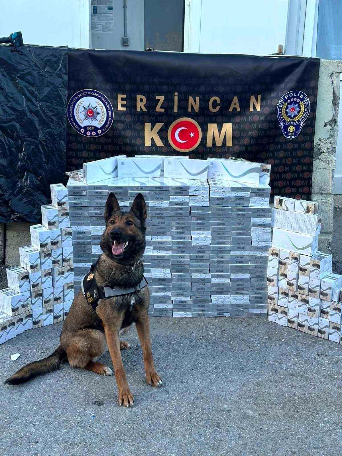 Erzincanda yolcu otobüsünde 3 bin 400 paket kaçak sigara ele geçirildi