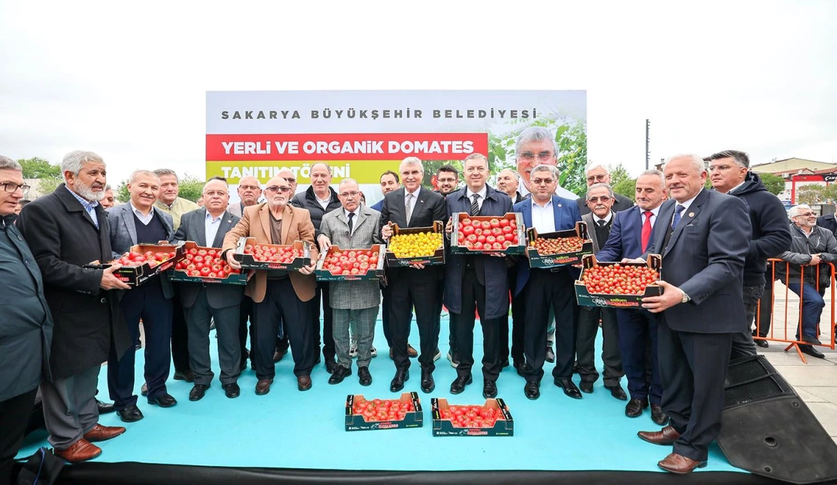 Sakarya Büyükşehir Belediyesi\'nin yerli ve organik domatesleri tanıtıldı