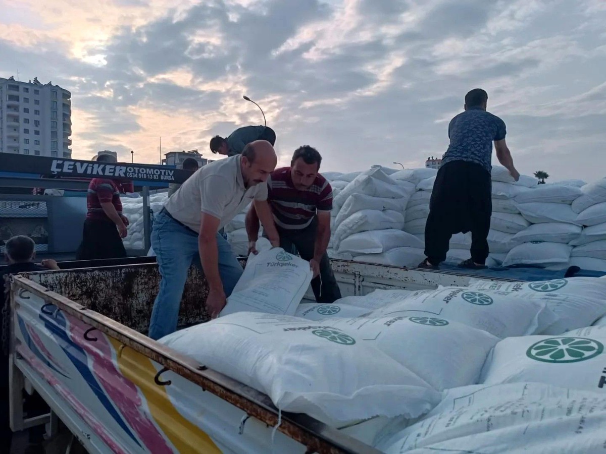 Adana\'da depremden etkilenen arı yetiştiricilerine hibe edilen 800 ton şeker dağıtılıyor