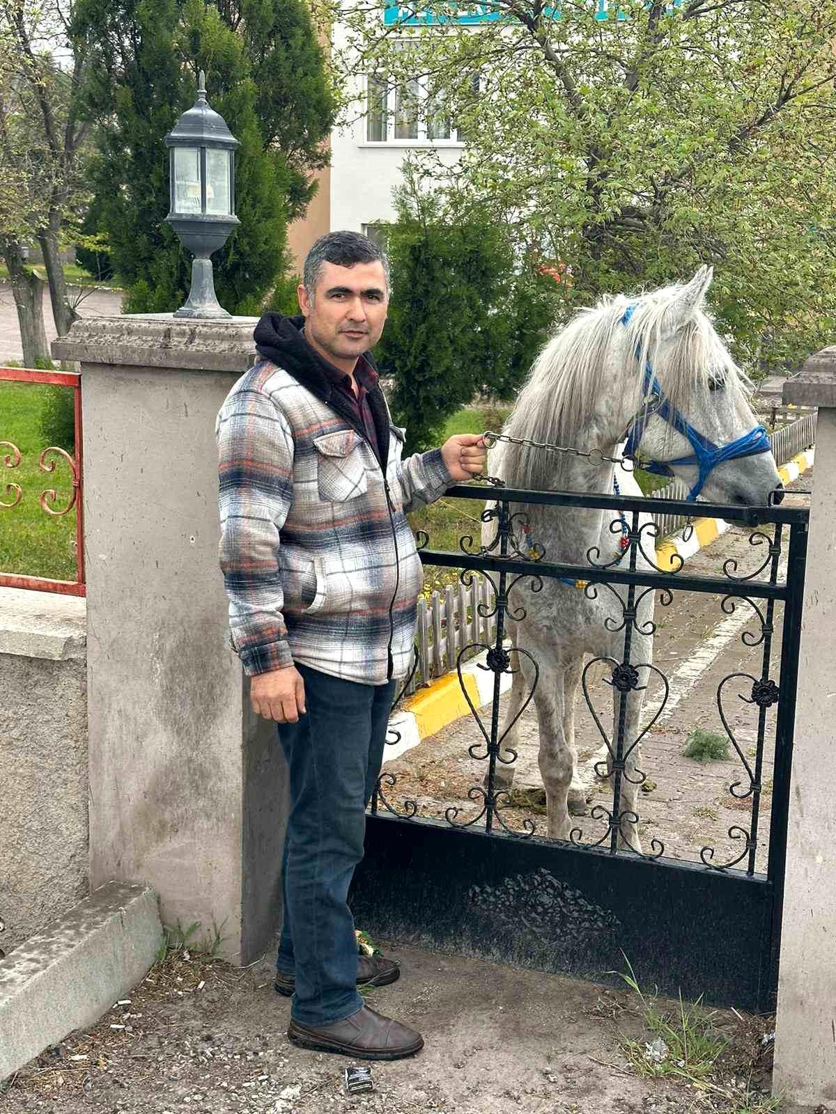 Başıboş at Nevşehir\'de at maketleriyle oynadı