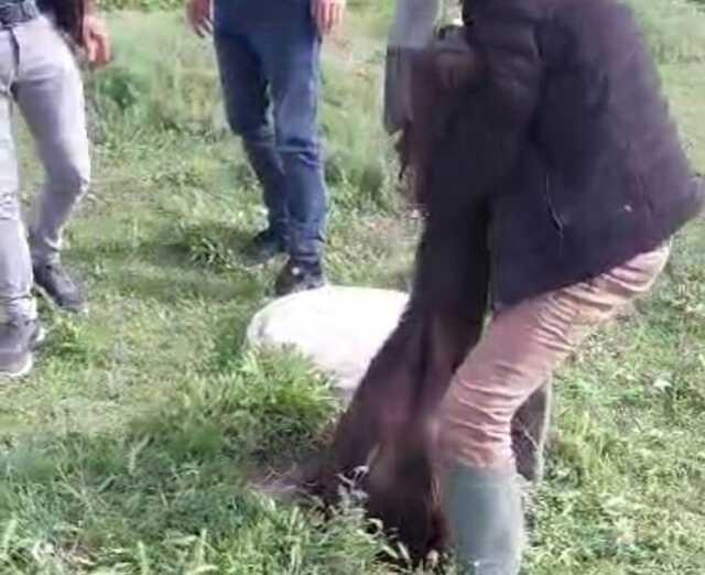 Mantar toplamaya giden vatandaşlar gördükleri manzara karşısında şok oldu Mantar toplamaya giden vatandaşlar gördükleri manzara karşısında şok oldu