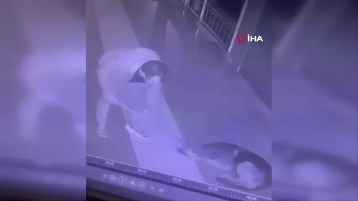Köpeğe şiddet uygulayan şahıs güvenlik kamerasına yakalandı