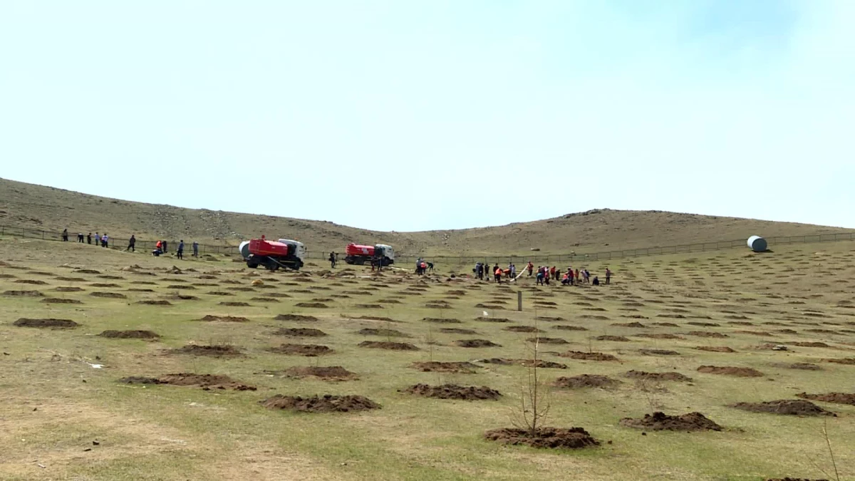 Moğolistan Çölleşmeyi Engellemek İçin Ağaç Dikim Çalışmalarını Artırıyor