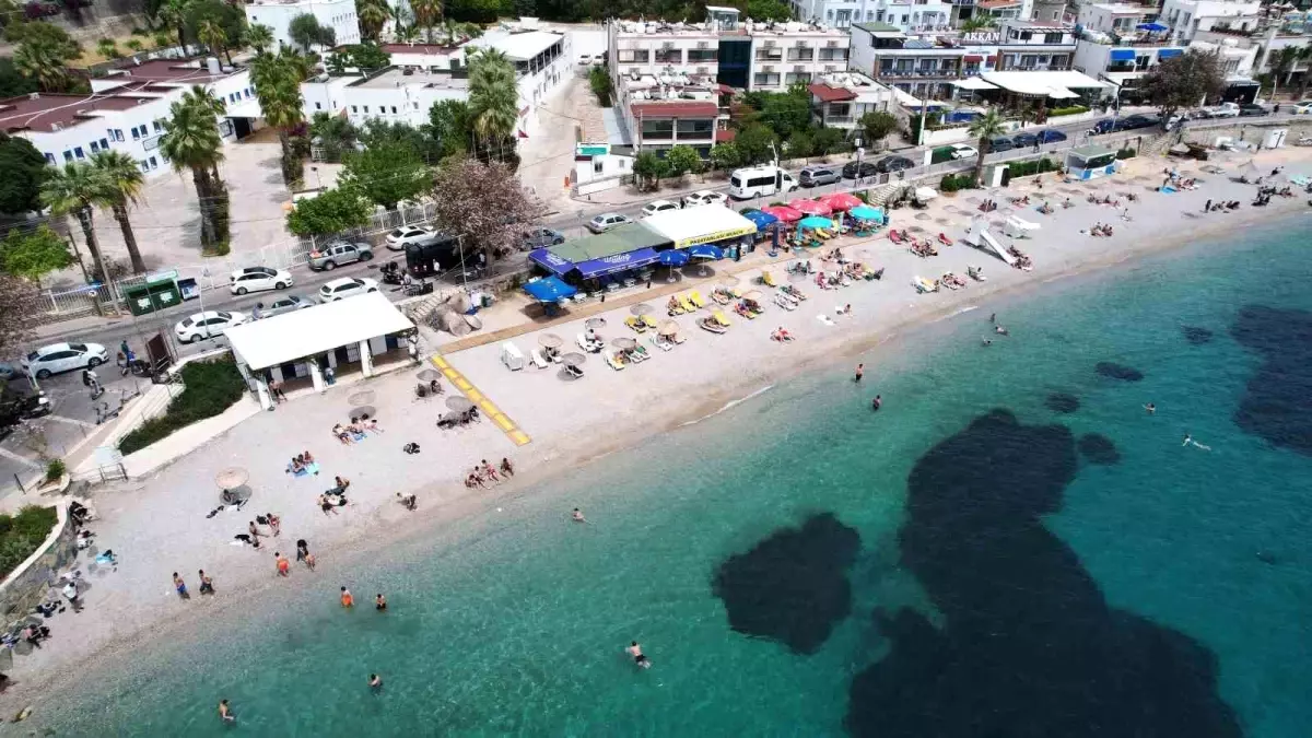 Bodrum\'da Seçmenler Sıcak Havayı Fırsat Bilip Denize Girdi