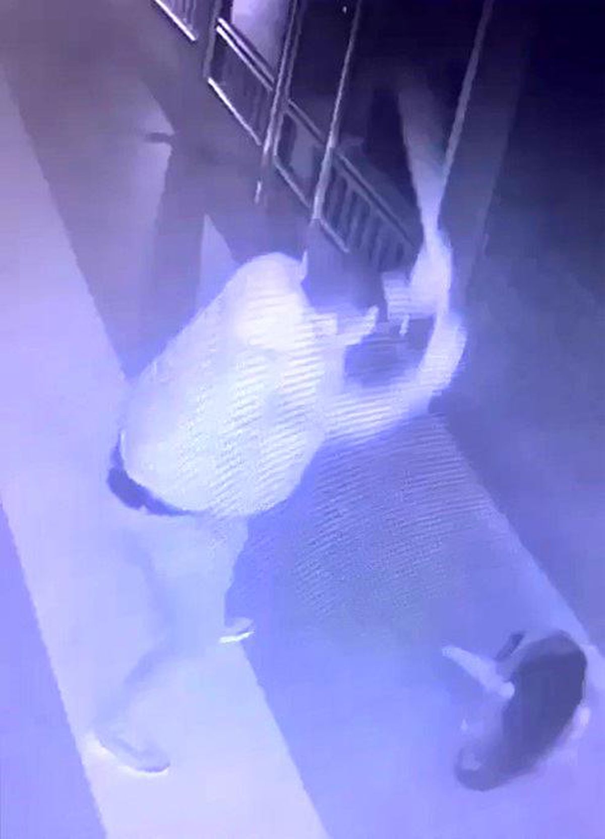 Rizede köpeğe şiddet uygulayan şahıs güvenlik kamerasına yakalandı
