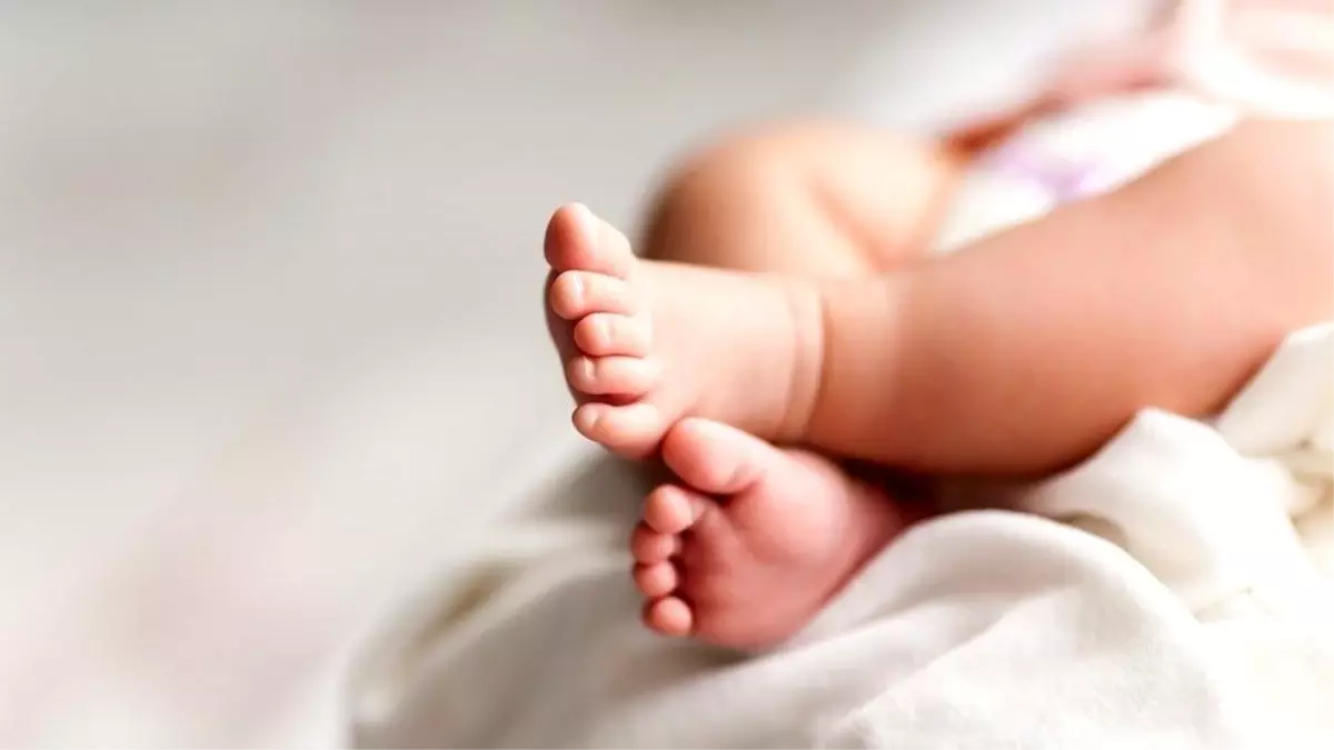 2022\'de Türkiye\'de doğurganlık hızı düştü