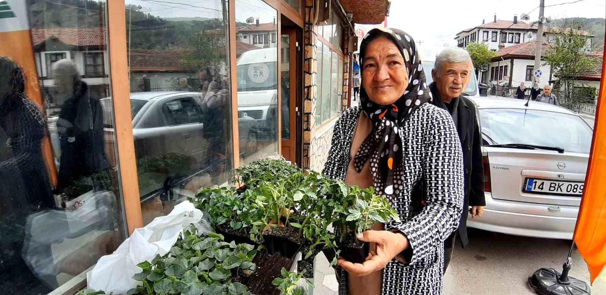 Mudurnu İlçesi\'nde 10 Bin Fide Satışa Sunuldu