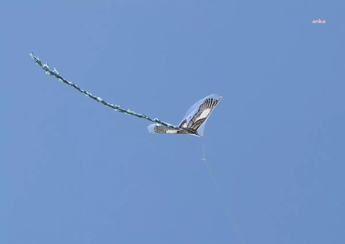 Dünya Göçmen Kuşlar Günü\'nde Eskişehir\'de \'Uçurtma Şenliği\' Düzenlendi