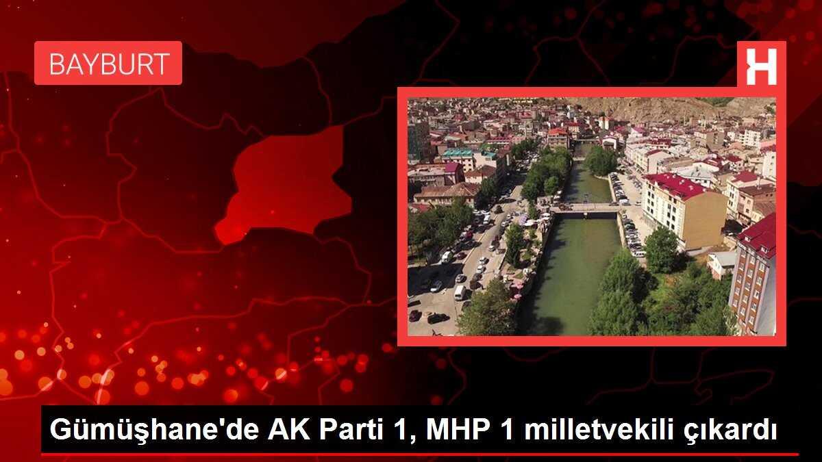 Gümüşhane'de AK Parti 1, MHP 1 milletvekili çıkardı