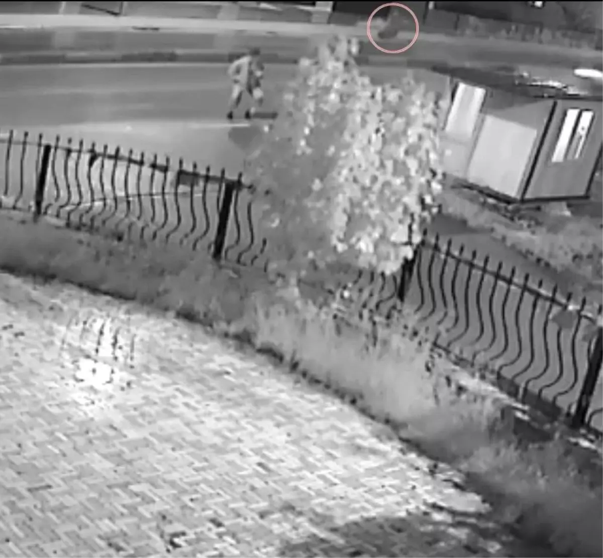 Sapanca\'da yaşlı çifti ayıran kaza güvenlik kamerasında