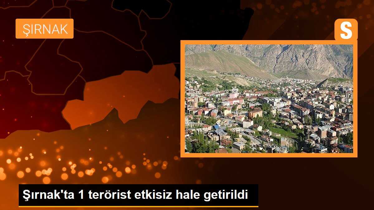 Şırnak\'ta 1 terörist etkisiz hale getirildi