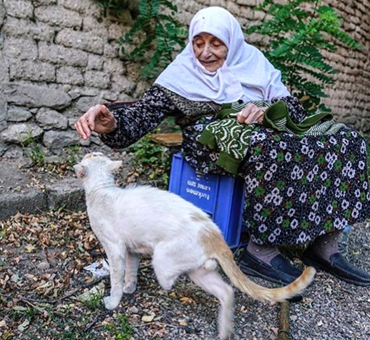 Kütahya\'da 94 yaşındaki hayvansever Ummuhan Aksulu hayatını kaybetti