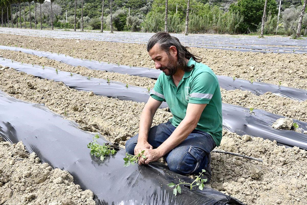 Kuşadası Belediyesi Adabahçe Projesi ile Tarımsal Üretimi Geliştiriyor