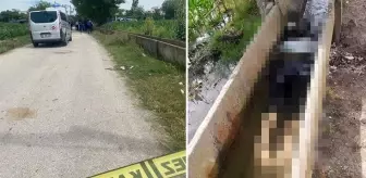 Adana'da kaybolan kızın cansız bedeni sulama kanalında bulundu
