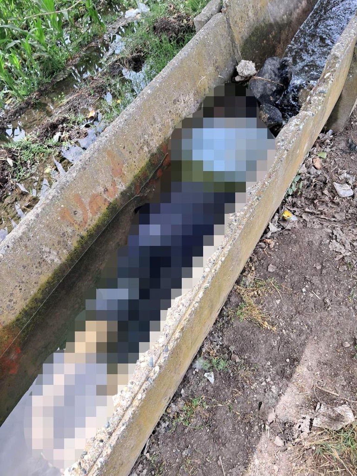 Adana\'da sulama kanalında kadın cesedi bulundu