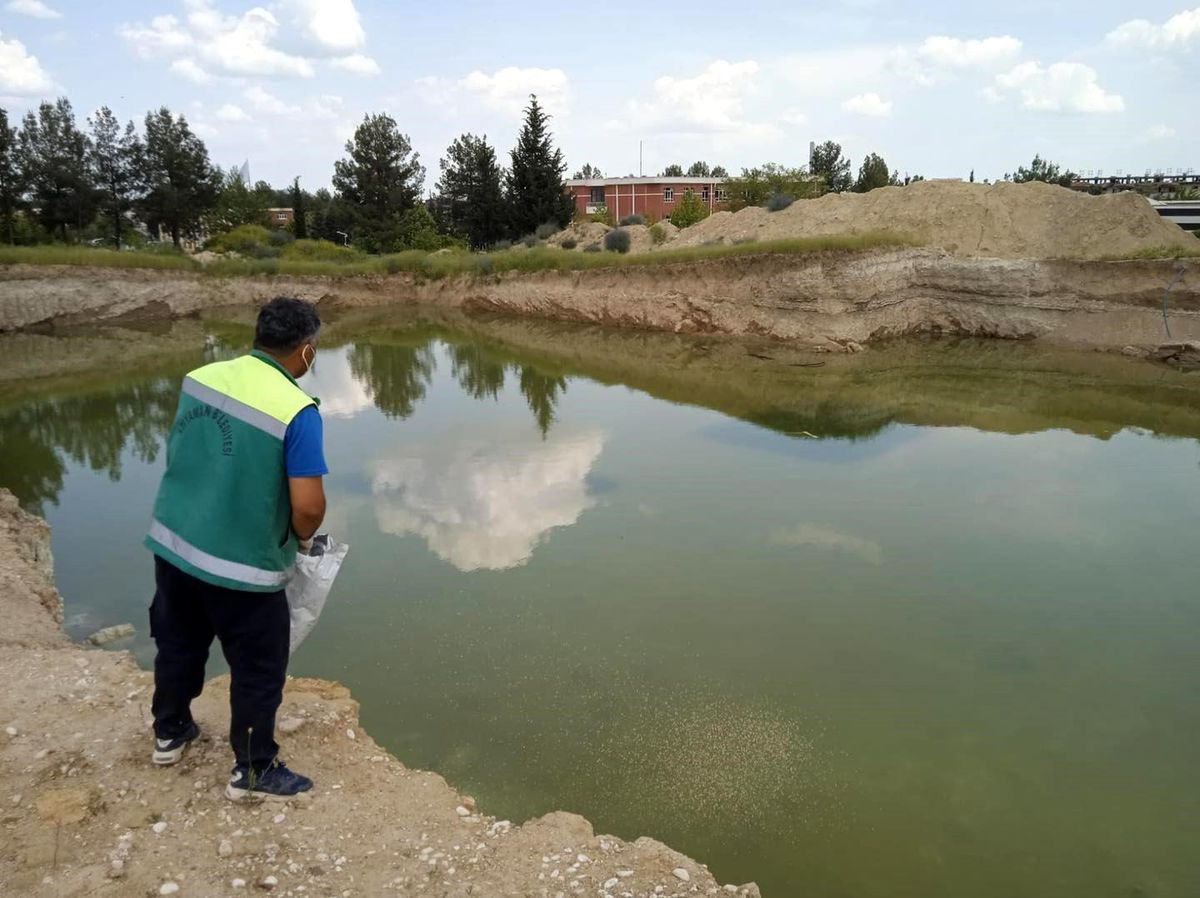 Adıyaman Belediyesi Sivrisinek ve Larva Mücadelesi Yapıyor