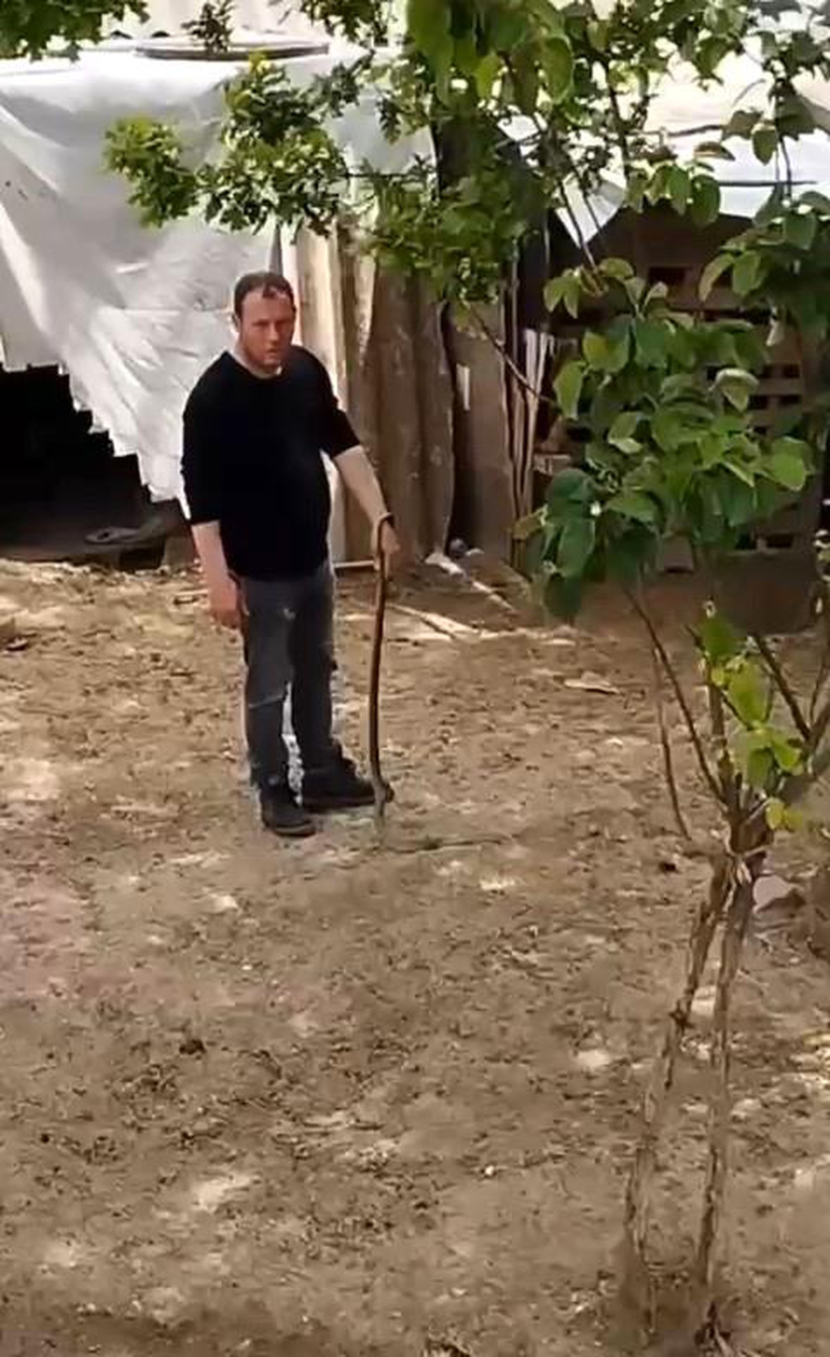 Bursa\'da Vatandaş Elleriyle Yılanı Yakaladı