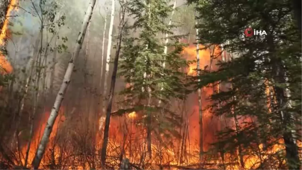 Kanadada orman yangını: 21 bin kişiye tahliye uyarısı
