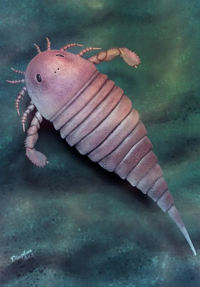 Sevimli Ama Vahşi: Çin'de 450 Milyon Yıllık Deniz Akrebi Fosili Bulundu