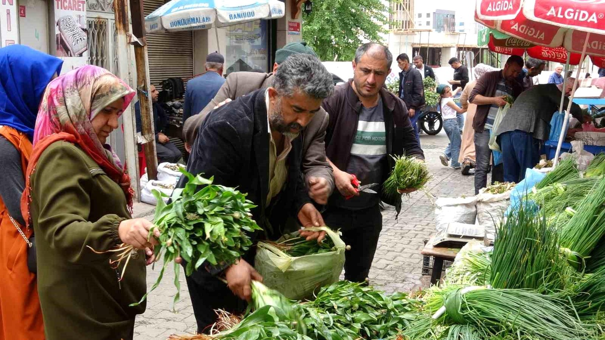 Siirt\'te Kenger ve Sirik Otu Tezgahlarda Yerini Aldı