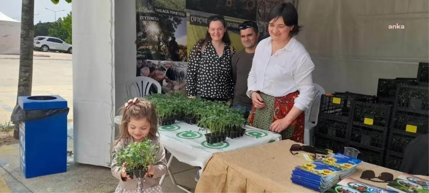 Tekirdağ Büyükşehir Belediyesi, Halka 35 Bin Domates Fidesi Dağıtacak