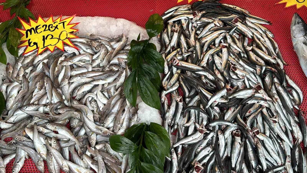 Düzce\'de av yasağı ve olumsuz hava şartları balık fiyatlarını arttırdı