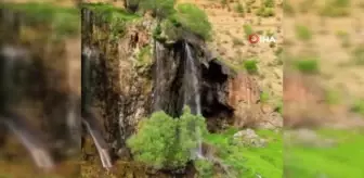 Bingöl'de Bahar Manzaraları Görüntülendi