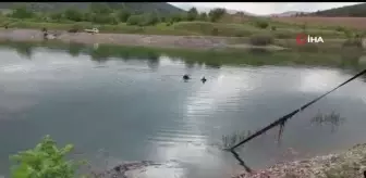 Gölete uçan araçta ölen 3 kişiden 2'sinin kimlikleri belli oldu