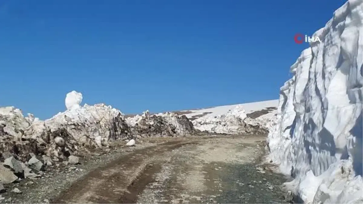 Gümüşhane Yaylalarında Karla Mücadele Devam Ediyor