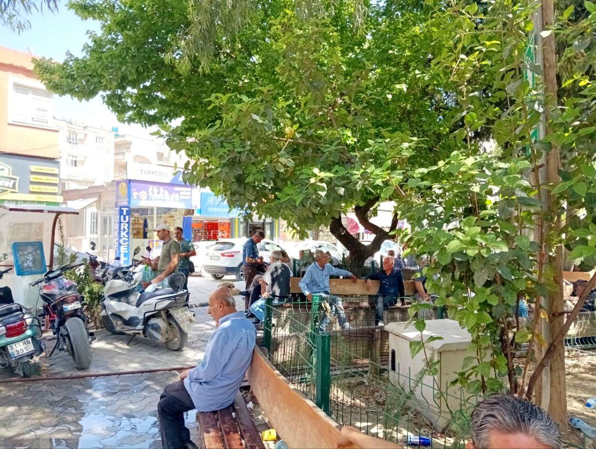 Hatay\'da sıcak hava etkili oluyor
