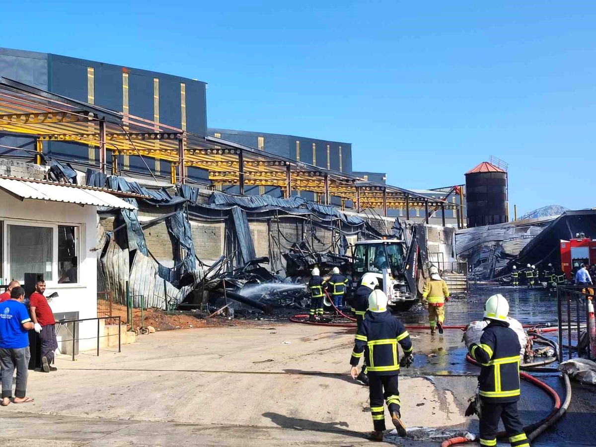 Köpük fabrikasının bahçesinde çıkan yangın kontrol altına alındı