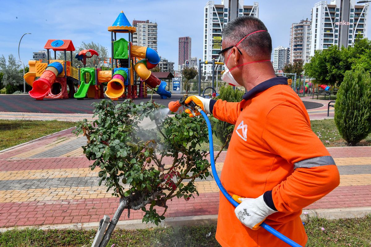 Mersin Büyükşehir, Haşere ile Mücadeleye Hız Verdi