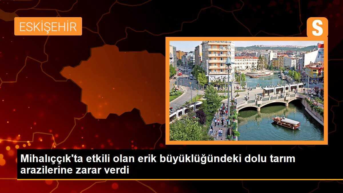 Mihalıççık\'ta etkili olan erik büyüklüğündeki dolu tarım arazilerine zarar verdi